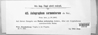 Aulographum sarmentorum image
